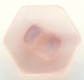 11mm Hexagon Shank Peach Sewing Button