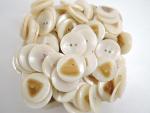 100 x 23mm Large 2 Holes Duffle Coat Sewing Buttons Iridescent Ivory Cream