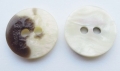 13mm Cream Shell Like Sewing Button