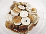 100 x 20mm 4 Hole Iridescent White Sewing Buttons Wholesale Buttons