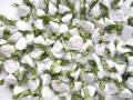 100 Satin Ribbon Roses 12mm White
