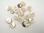 20 x 12mm Real Shell 2 Hole Sewing Buttons Cream Trochus Shell