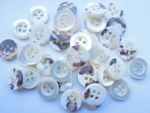 13 x Real Shell Coconut Shell Buttons 25mm