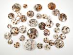 37 x Real Shell Buttons Brown Tiger Shell